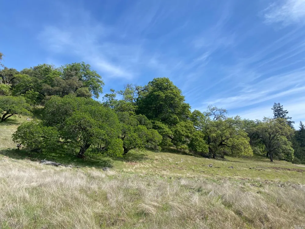 19010 Hulbert Road Yorkville, CA 95494