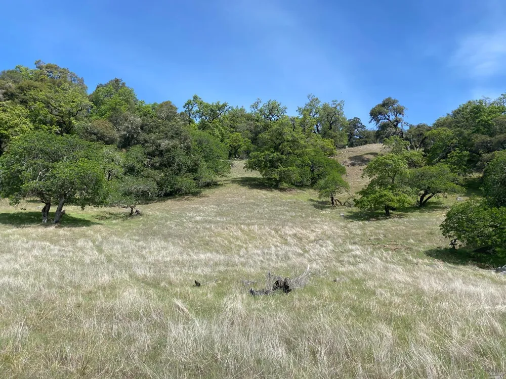 19010 Hulbert Road Yorkville, CA 95494