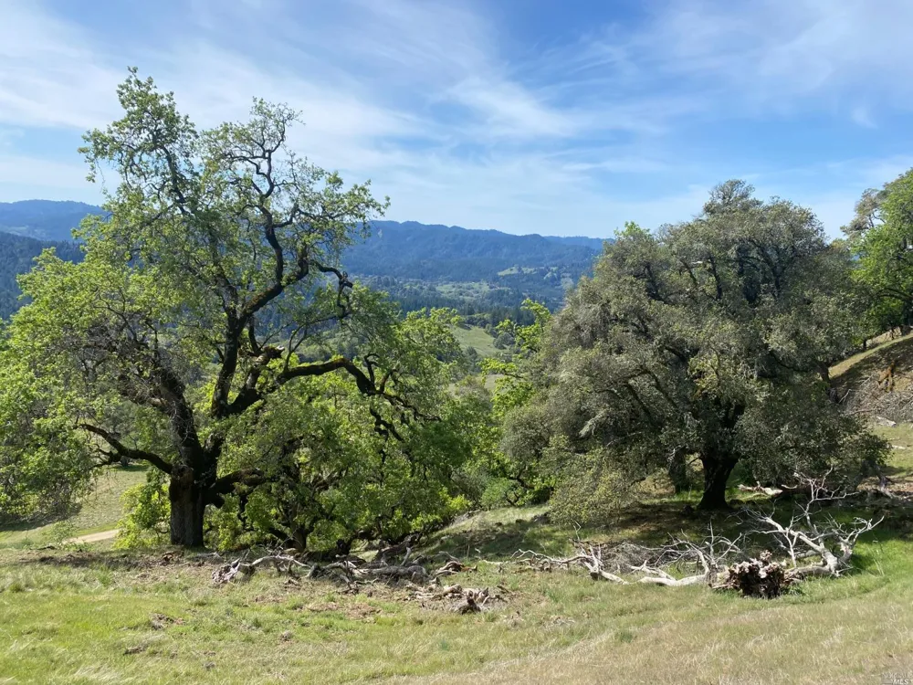 19010 Hulbert Road Yorkville, CA 95494