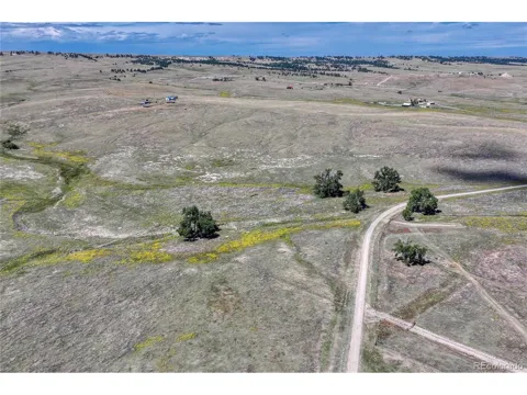 Fiddleback Ranch Road