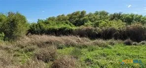 496 Ramona Road Seadrift, TX 77983