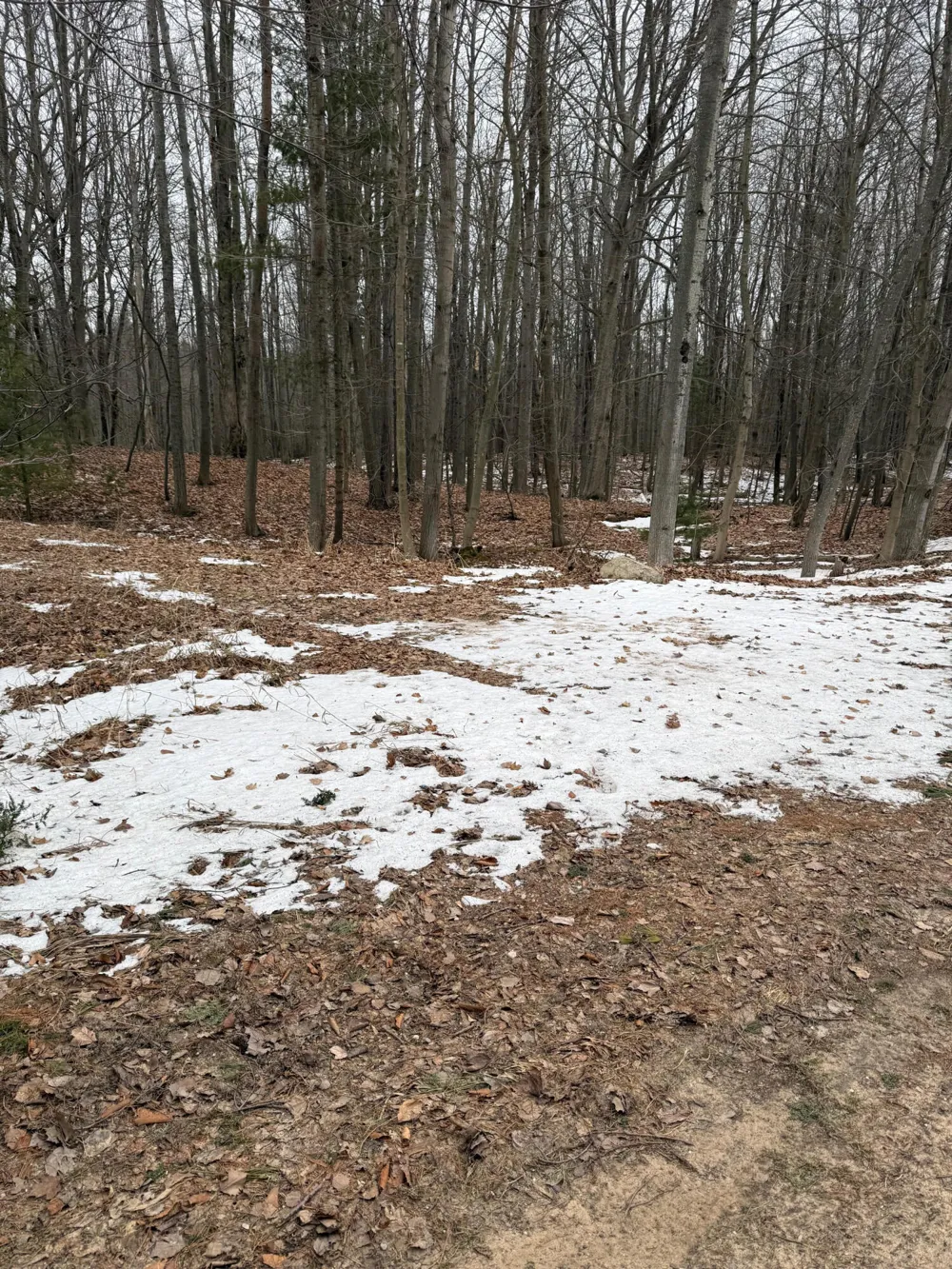 West Fox Farm Road Manistee, MI 49660