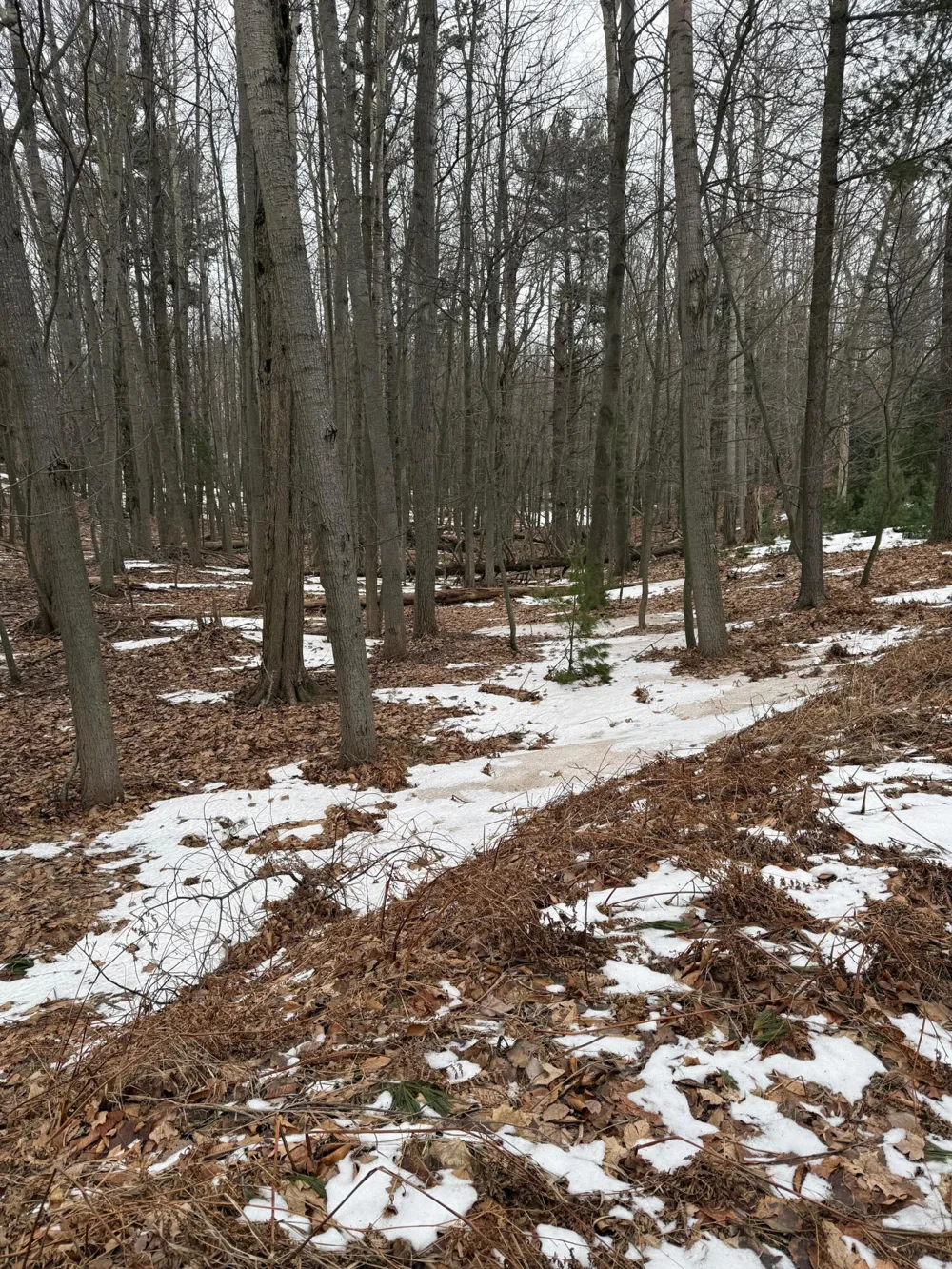 West Fox Farm Road Manistee, MI 49660