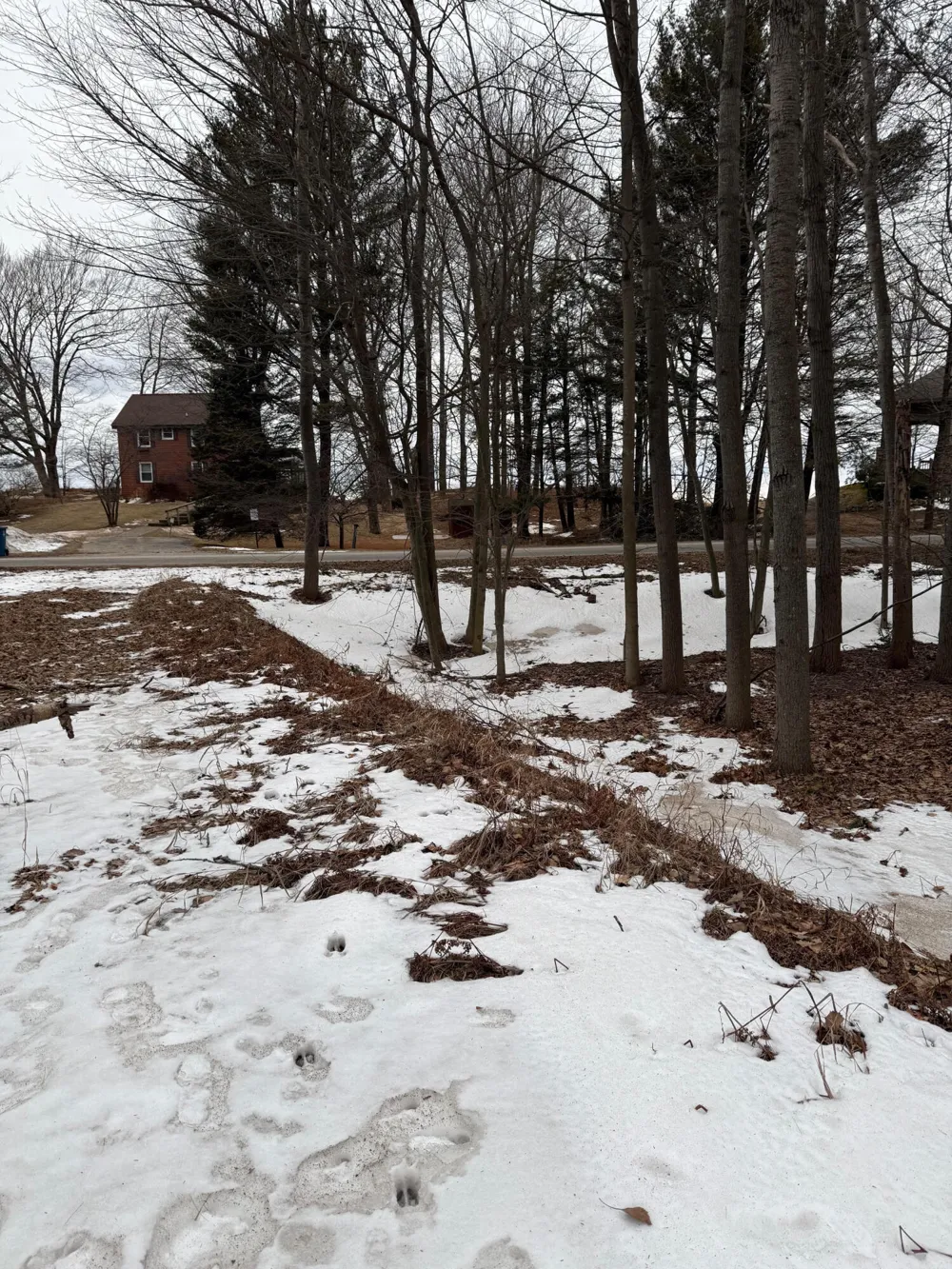 West Fox Farm Road Manistee, MI 49660