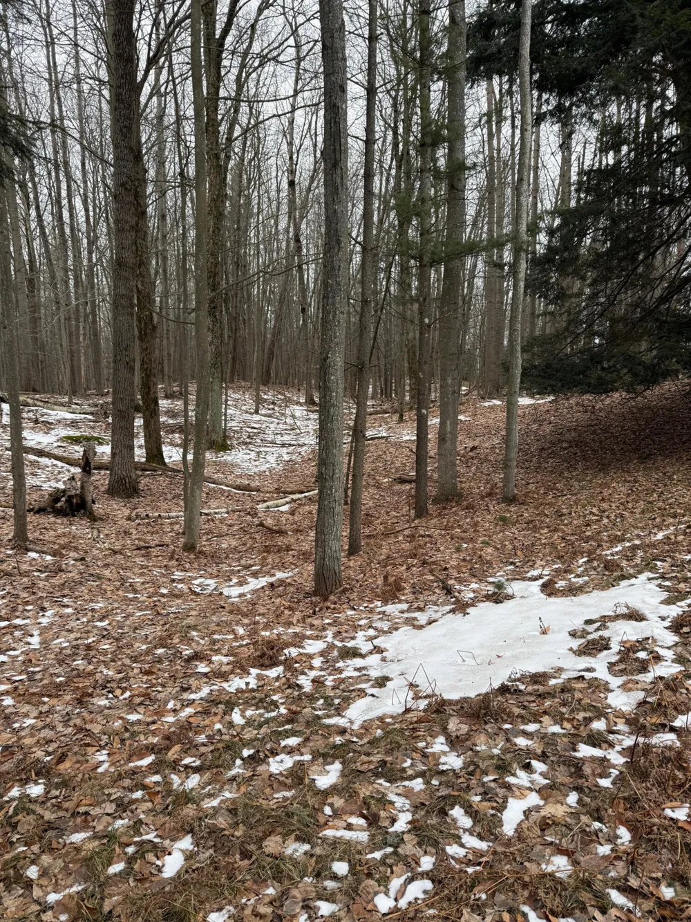 West Fox Farm Road Manistee, MI 49660