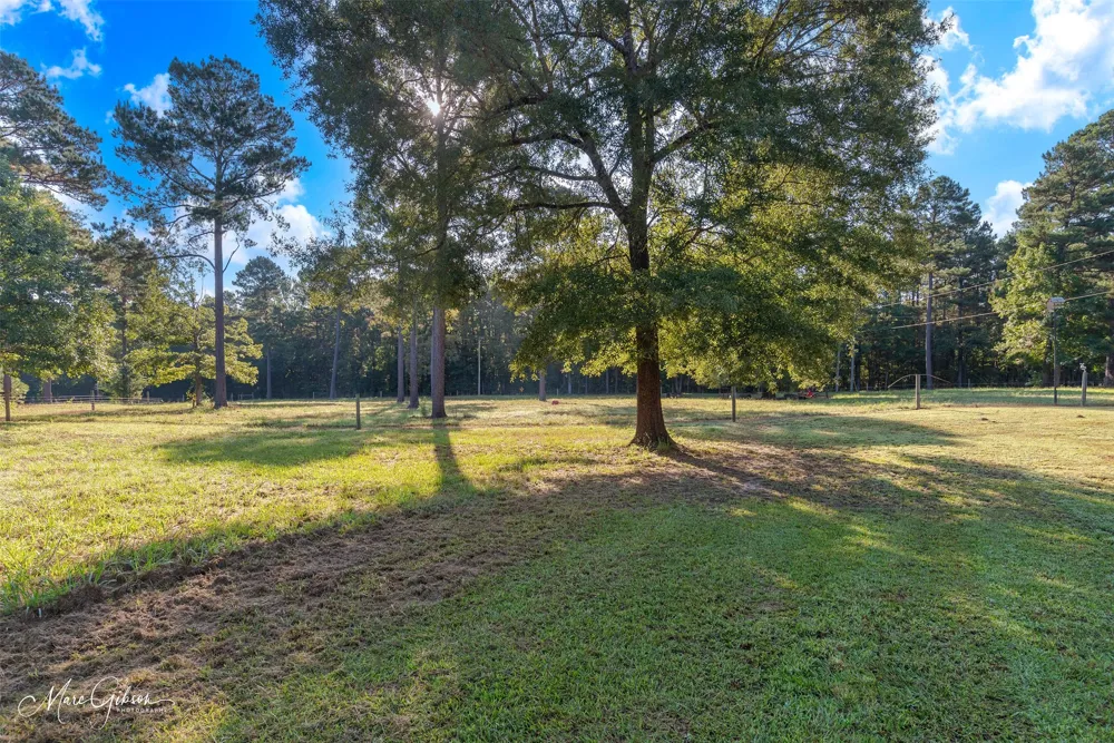 550 Linton Bellevue Road Benton, LA 71006