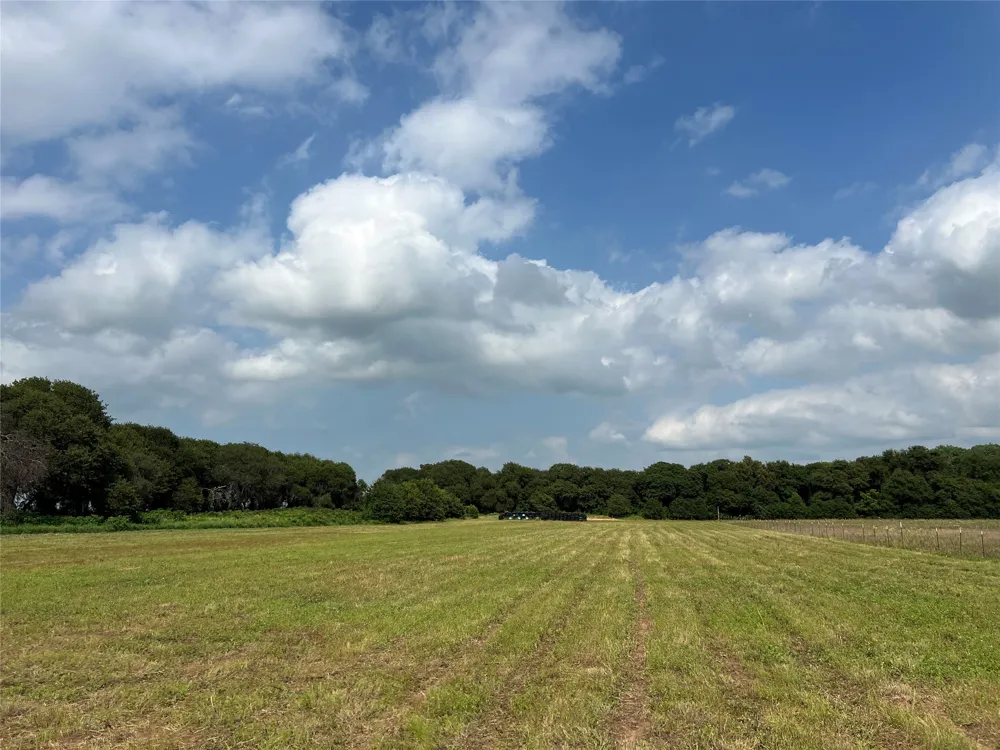 1757 County Road 252 Rising Star, TX 76471