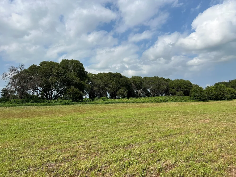 1757 County Road 252 Rising Star, TX 76471