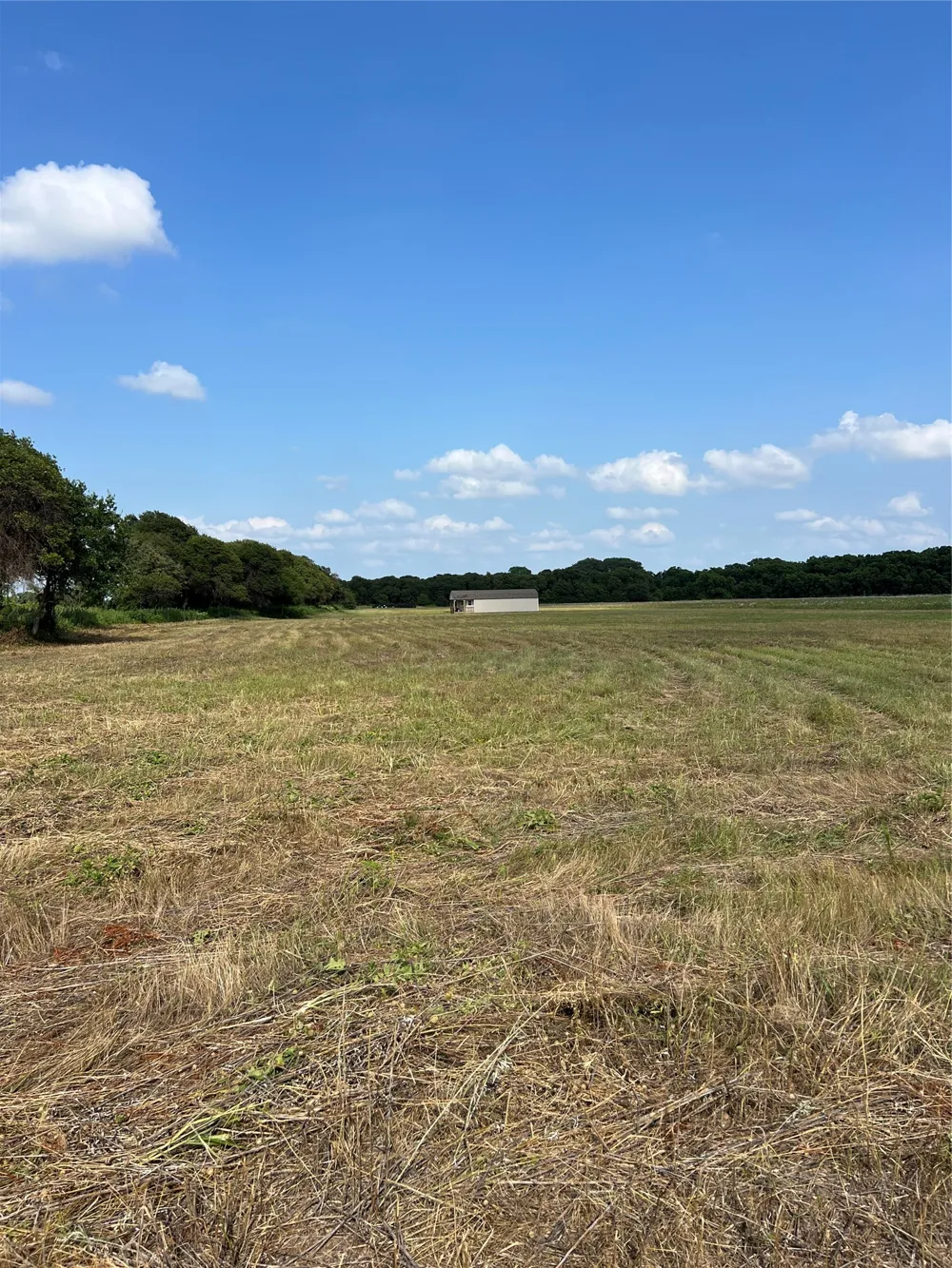1757 County Road 252 Rising Star, TX 76471