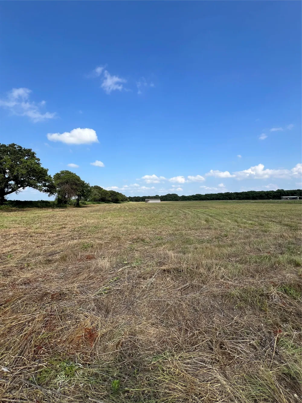 1757 County Road 252 Rising Star, TX 76471