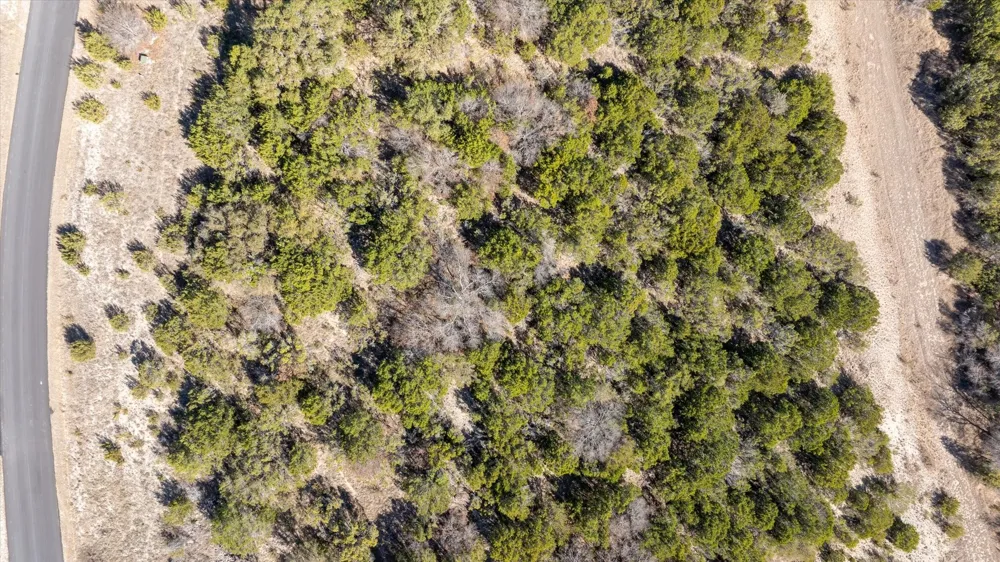 880 Sunfish Point Bluff Dale, TX 76433