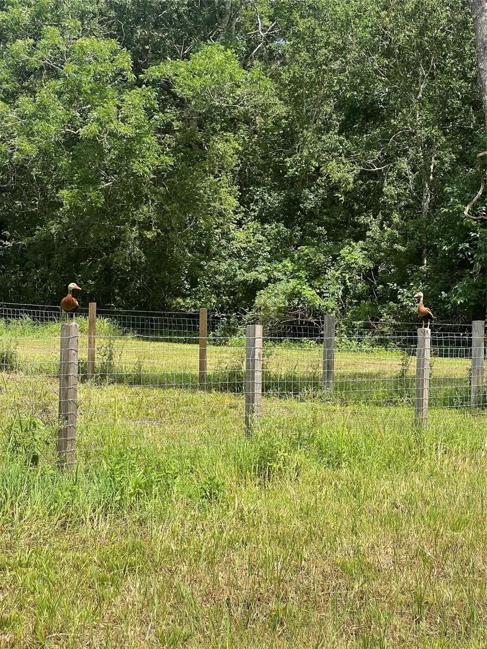 Elm Cr 825c Street West Columbia, TX 77486