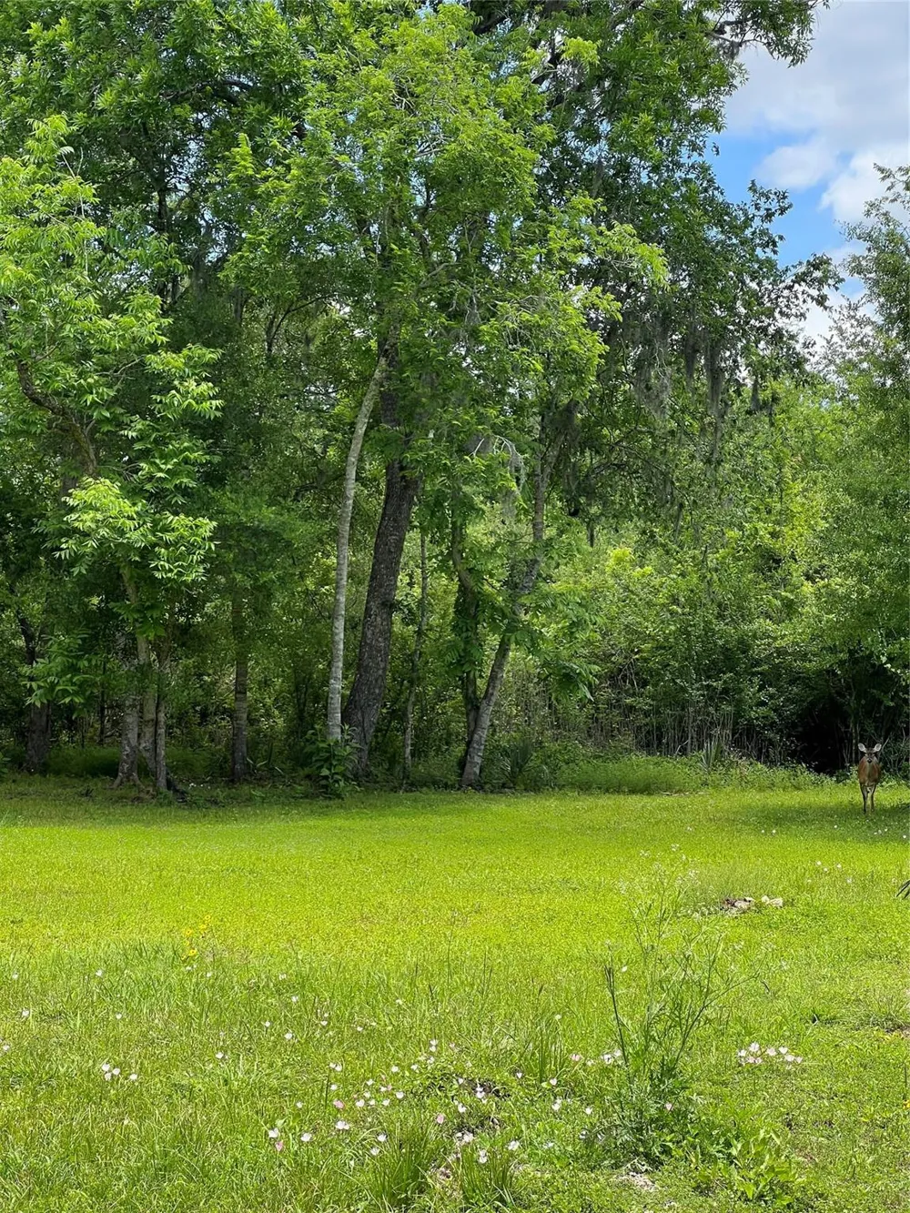 Elm Cr 825c Street West Columbia, TX 77486