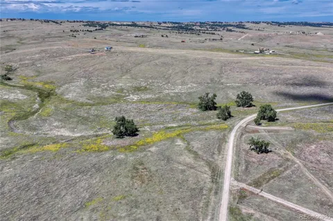 Fiddleback Ranch Road