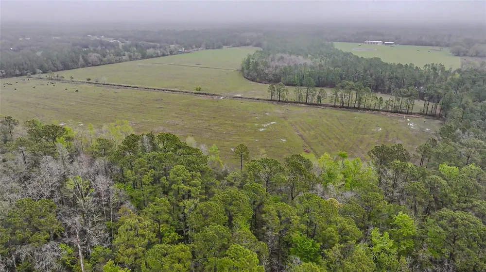 0000 ALLIGATOR ROAD Clermont, FL 34714