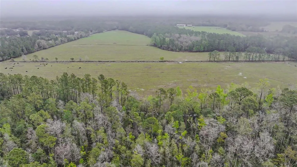0000 ALLIGATOR ROAD Clermont, FL 34714