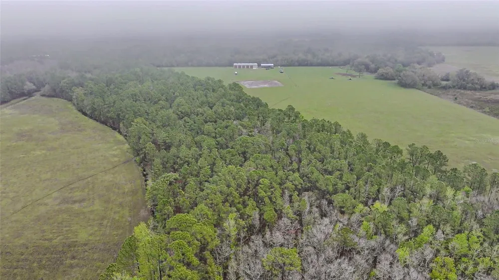 0000 ALLIGATOR ROAD Clermont, FL 34714