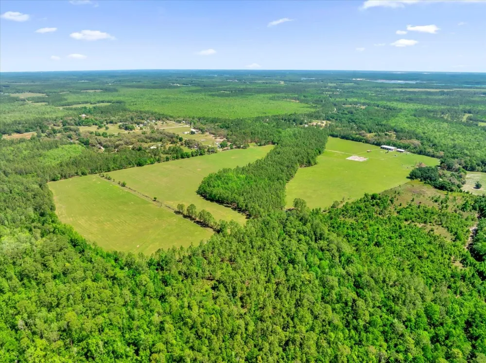 0000 ALLIGATOR ROAD Clermont, FL 34714