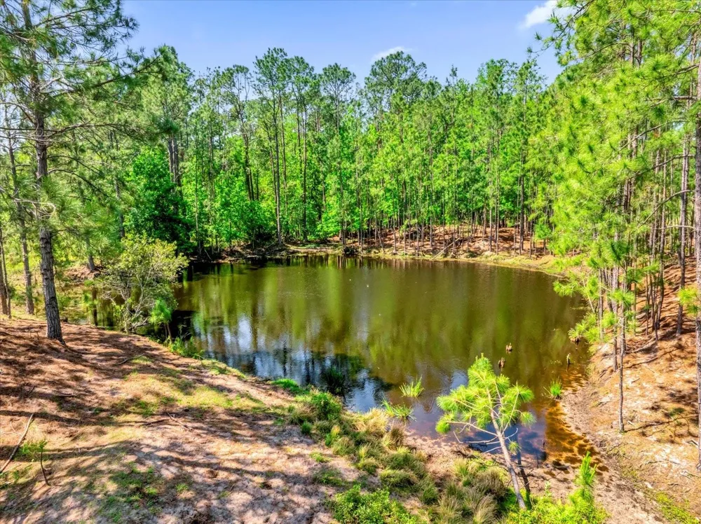 0000 ALLIGATOR ROAD Clermont, FL 34714