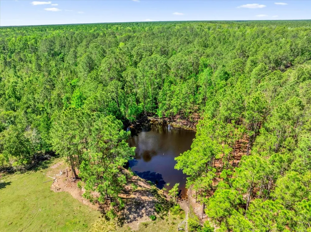 0000 ALLIGATOR ROAD Clermont, FL 34714