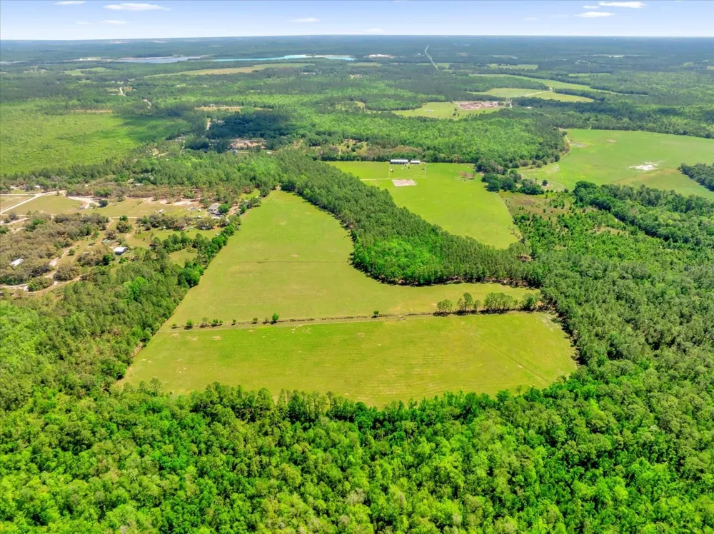 0000 ALLIGATOR ROAD Clermont, FL 34714