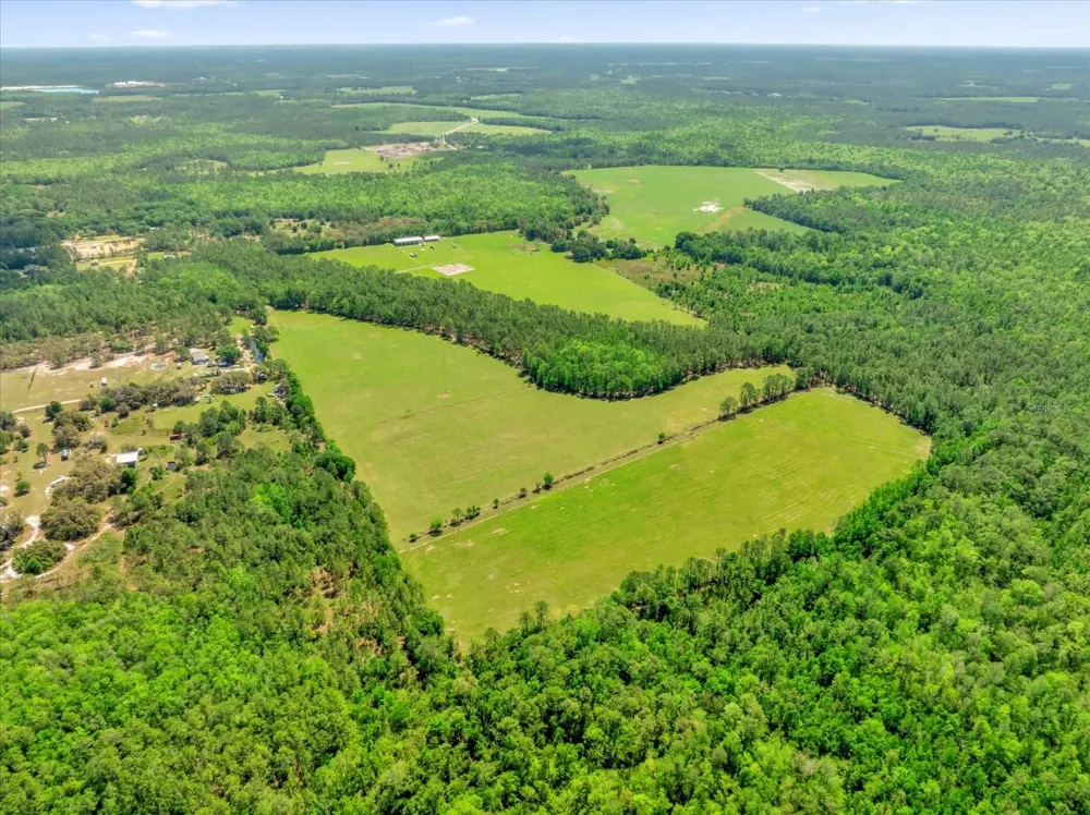 0000 ALLIGATOR ROAD Clermont, FL 34714