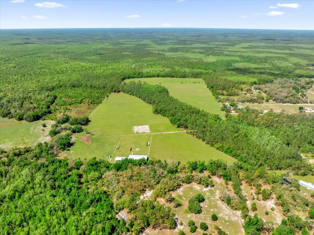0000 ALLIGATOR ROAD Clermont, FL 34714