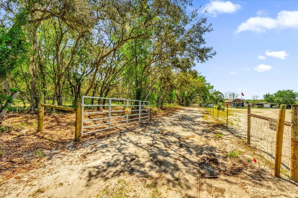 0000 ALLIGATOR ROAD Clermont, FL 34714