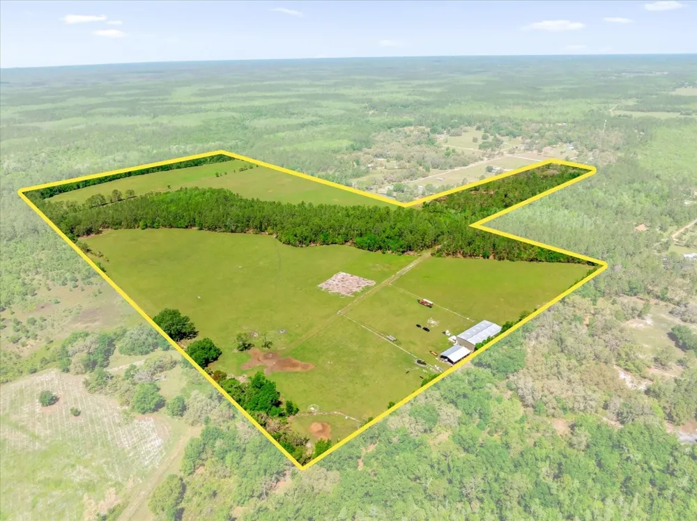 0000 ALLIGATOR ROAD Clermont, FL 34714