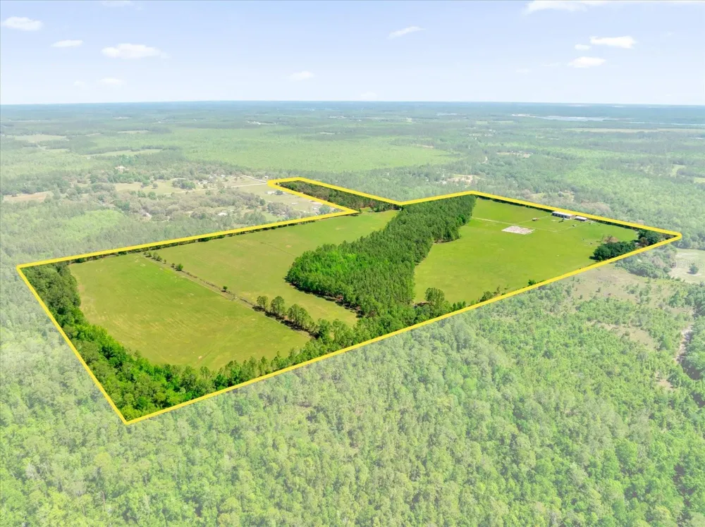 0000 ALLIGATOR ROAD Clermont, FL 34714