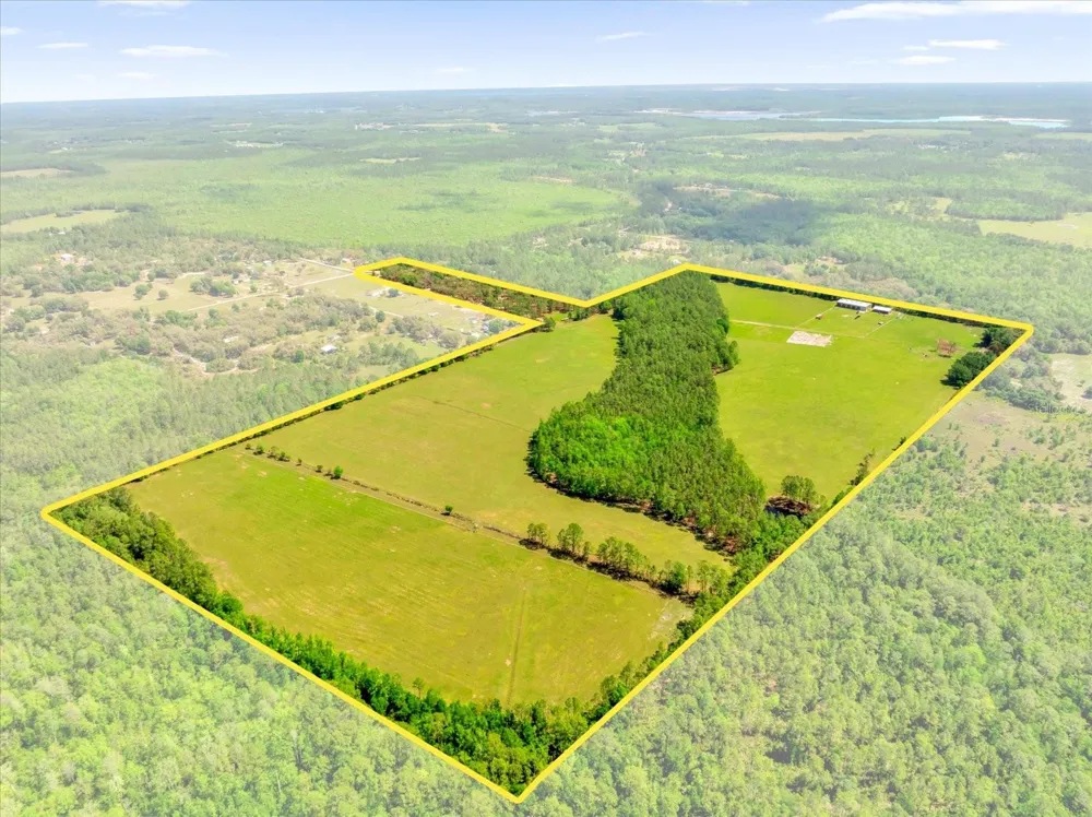 0000 ALLIGATOR ROAD Clermont, FL 34714