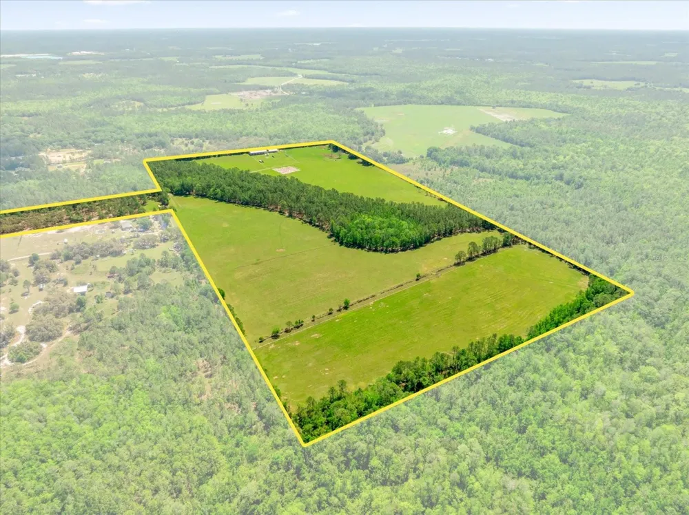 0000 ALLIGATOR ROAD Clermont, FL 34714