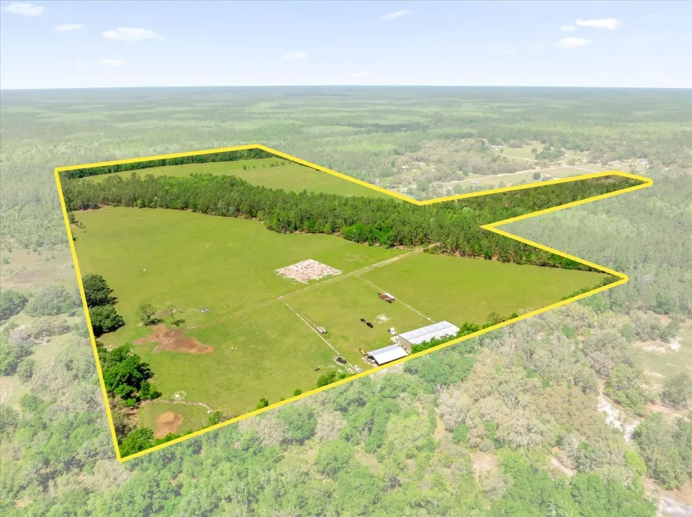 0000 ALLIGATOR ROAD Clermont, FL 34714