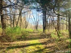 Sepasco Lake Road Rhinebeck, NY 12572