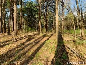 Sepasco Lake Road Rhinebeck, NY 12572