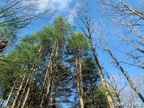 Sepasco Lake Road Rhinebeck, NY 12572