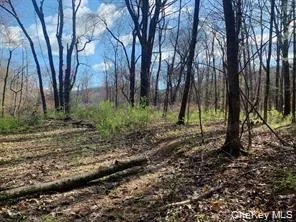 Sepasco Lake Road Rhinebeck, NY 12572