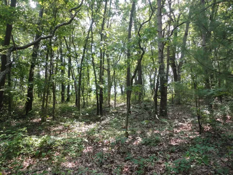 CR 215 AVENUE