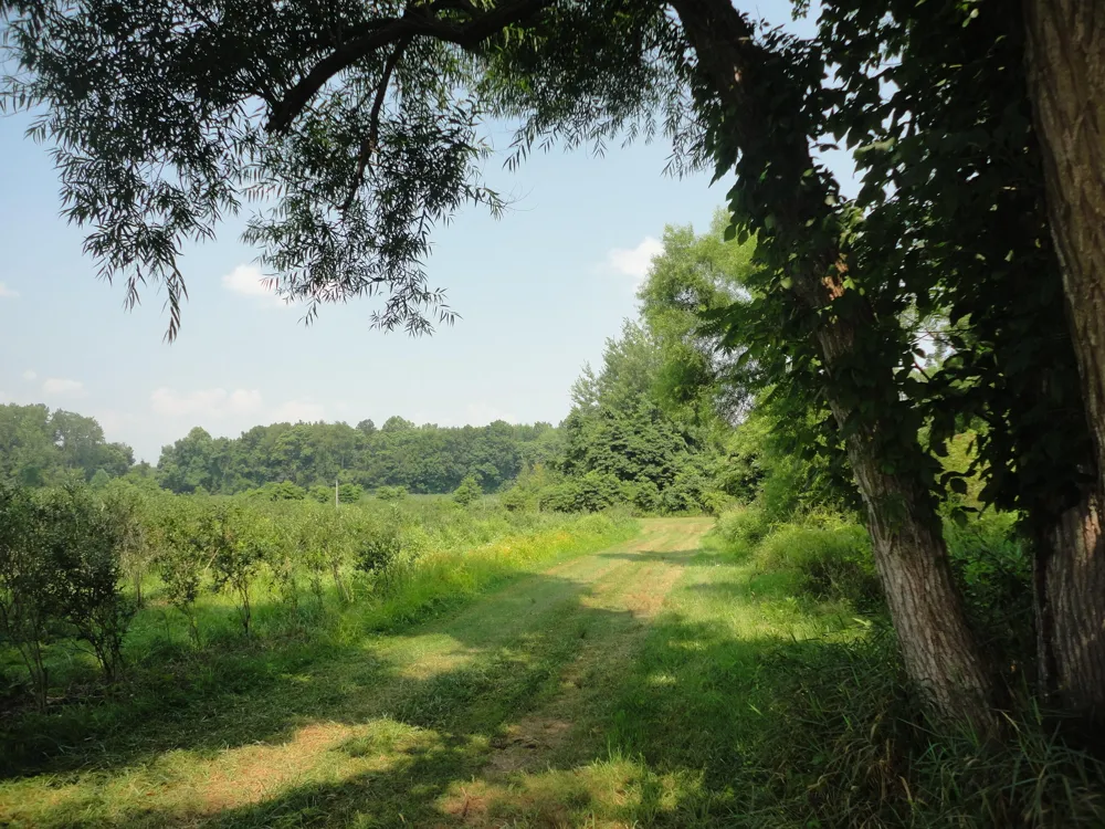 CR 215 AVENUE Grand Junction, MI 49056