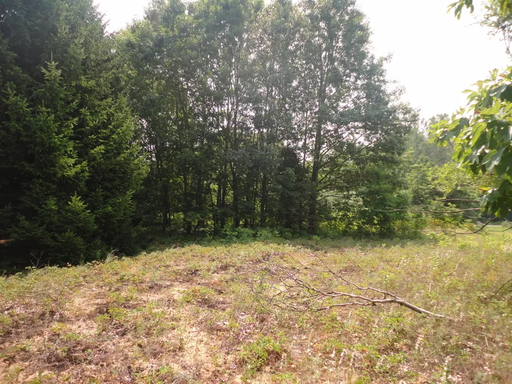 CR 215 AVENUE Grand Junction, MI 49056