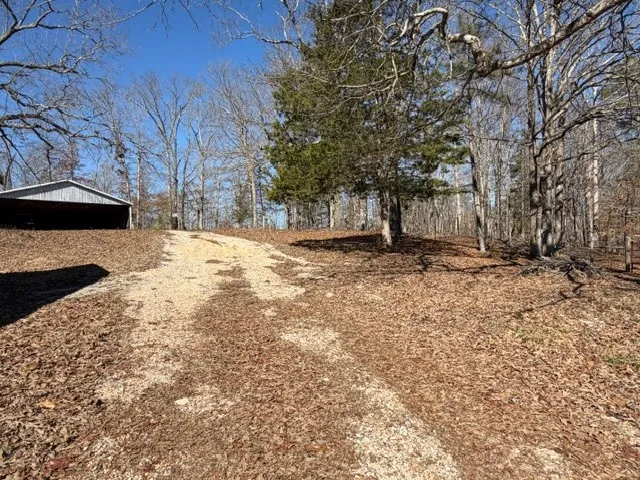 9554 Brooksie Thompson Rd Bath Springs, TN 38311