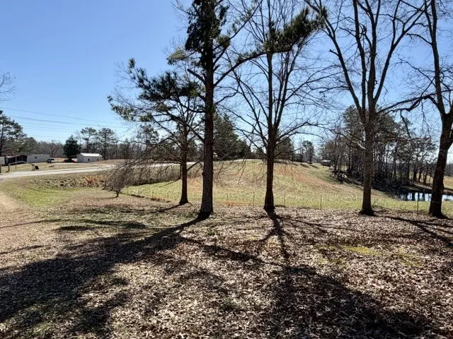 9554 Brooksie Thompson Rd Bath Springs, TN 38311