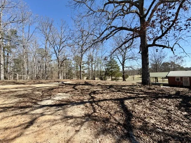9554 Brooksie Thompson Rd Bath Springs, TN 38311