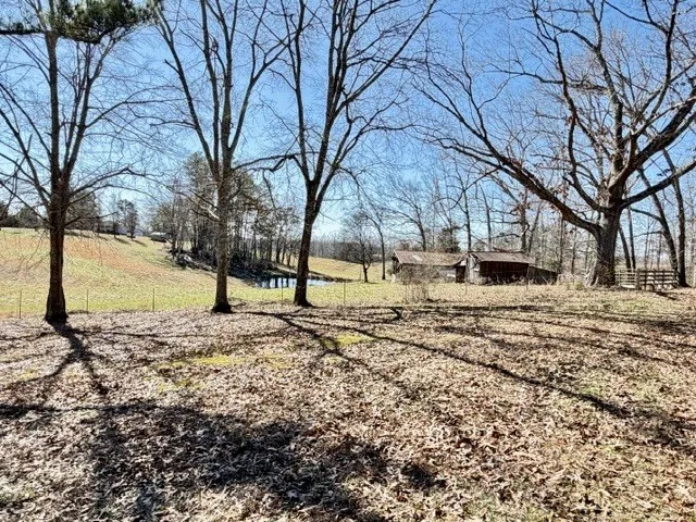 9554 Brooksie Thompson Rd Bath Springs, TN 38311