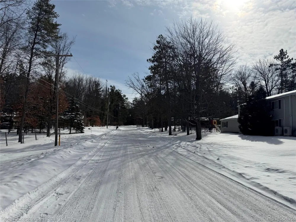 1281 Geesey Avenue Mentor Township, MI 48647