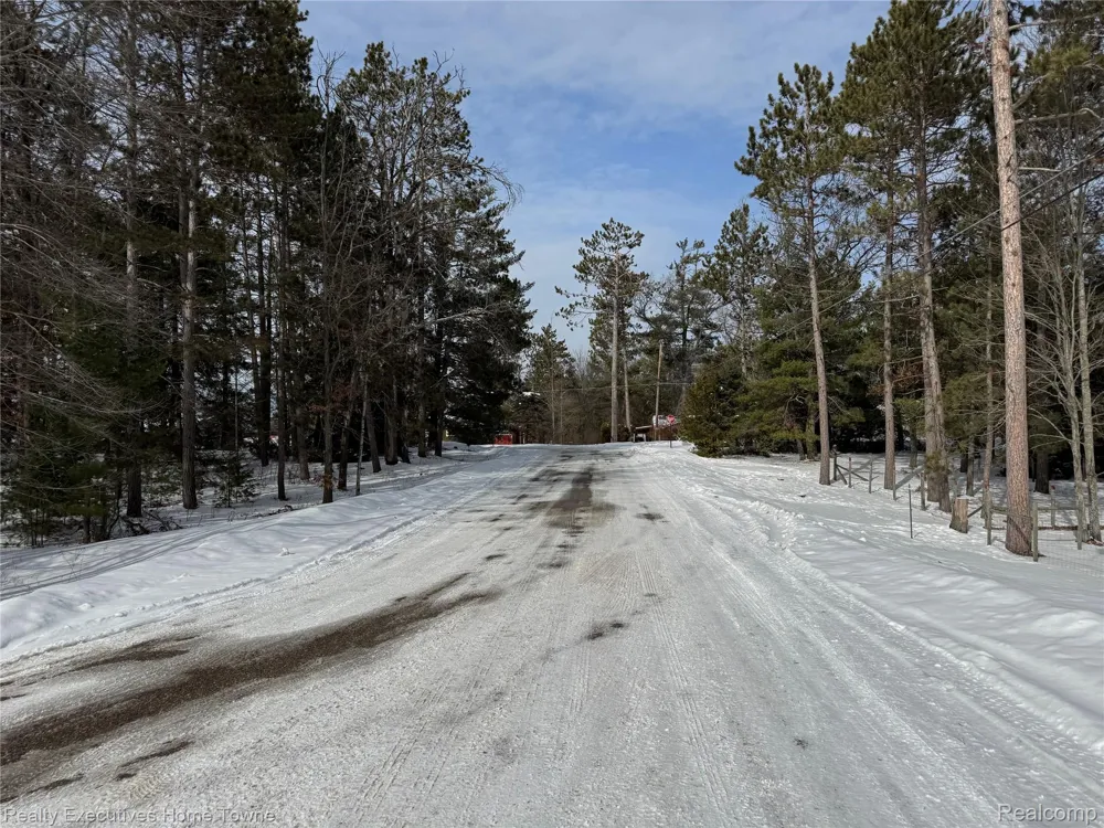 1281 Geesey Avenue Mentor Township, MI 48647