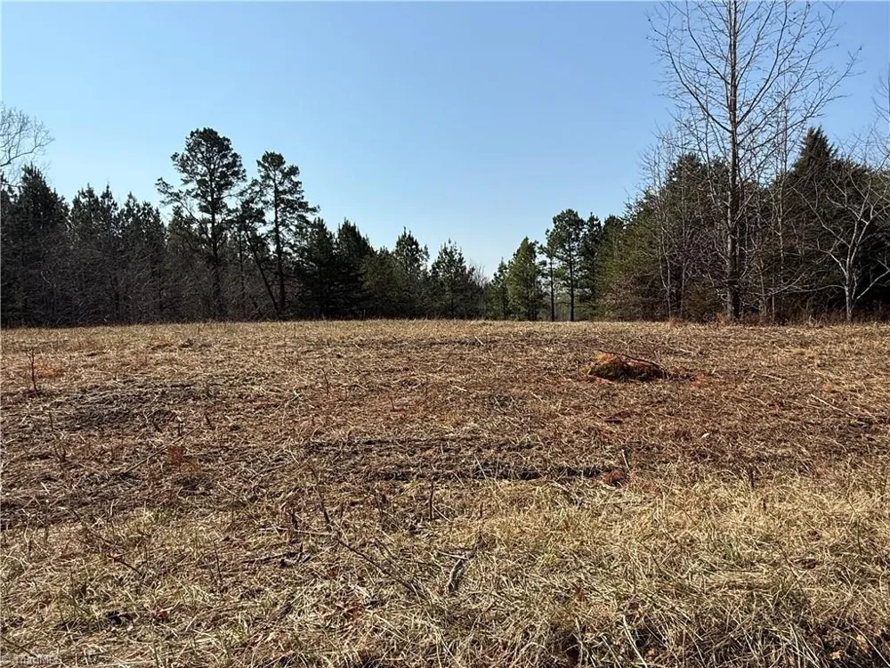 00 Lake Farm Road Yanceyville, NC 27379
