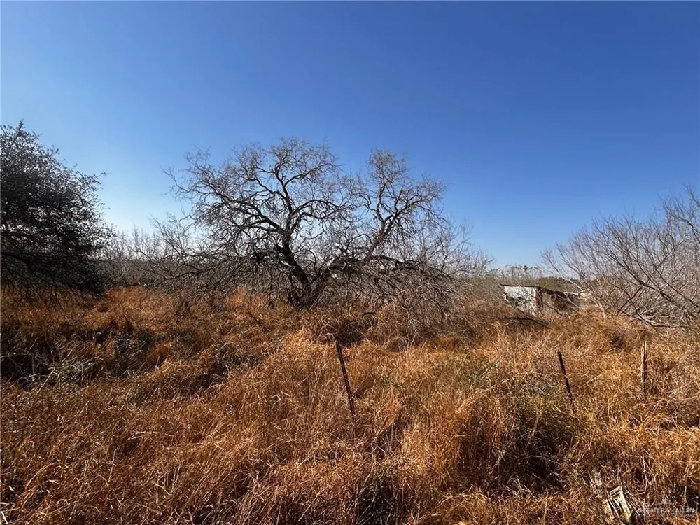 30034 Couch Street Hargill, TX 78549
