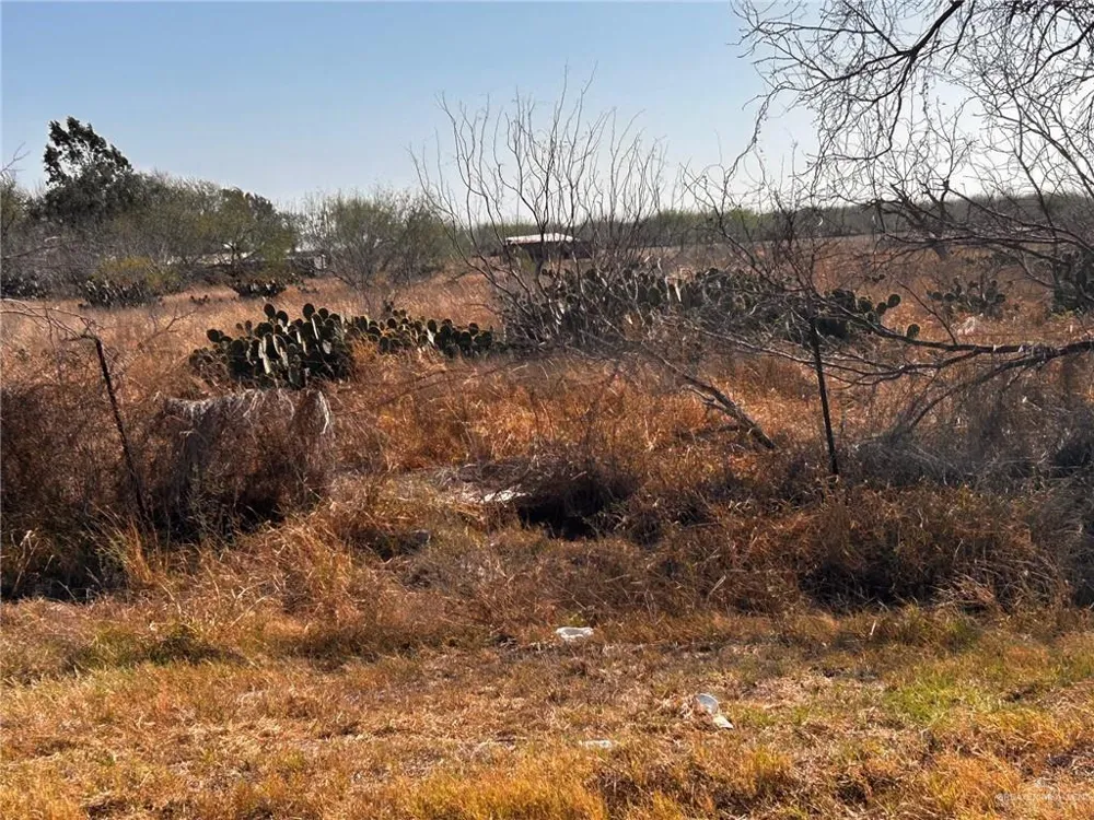 30034 Couch Street Hargill, TX 78549