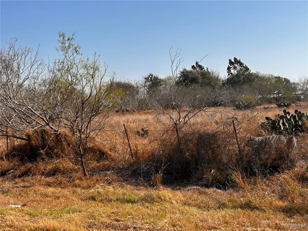 30034 Couch Street Hargill, TX 78549